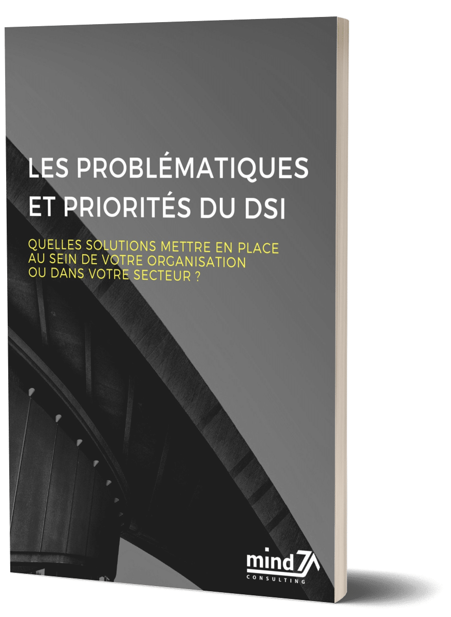 Image for Les problématiques et priorités des DSI