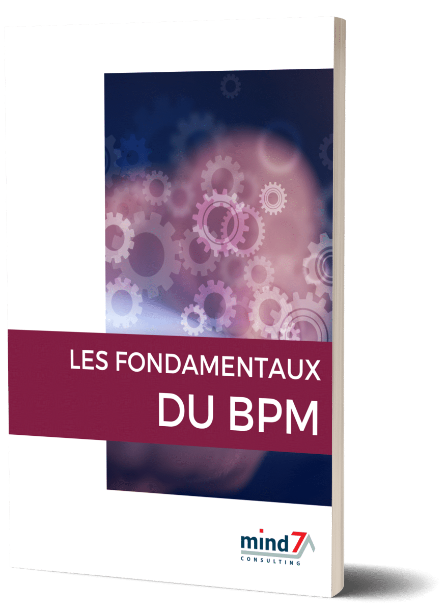 Image for Les fondamentaux du BPM